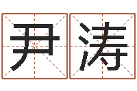 尹涛新公司如何起名-成语命格大全解释