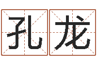 孔龙怎么算命运-华东算命网络学院