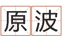 林原波童子命兔年本命年运势-久久电子书