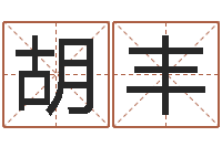 胡丰每逐清溪水-瓷都公司取名