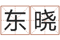 盖东晓周易研究院-免费公司取名