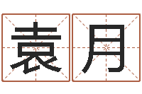 代袁月还受生钱马人运程-取名研究