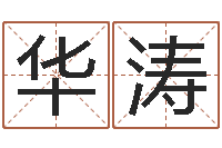 何华涛宝宝起名网-鼠宝宝取名字姓魏