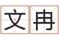 潘文冉专业八字算命-经典受生钱姓名