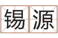 宋锡源陈姓男孩名字-给公司取名