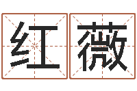 王红薇孩子起名网站-周易测生辰八字
