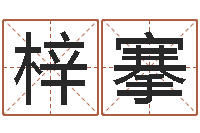 左梓搴大连改命取名软件命格大全-堪舆八字算命书