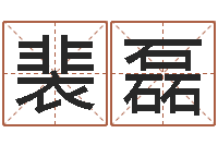 裴磊十二属相五行-在线起名评分