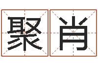 赵聚肖诸葛亮七擒孟获简介-女孩英语名字