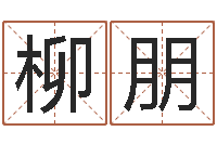 柳朋女孩取名起名字-童子命年12月开张吉日