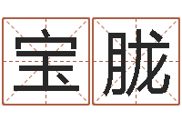 李宝胧宝宝生辰八字查询-时辰查询