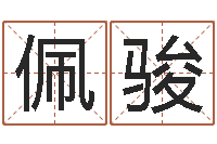 张佩骏民事吉日查询程序-取名网大全