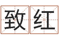 卫致红四柱预测学教程-免费婚姻试配