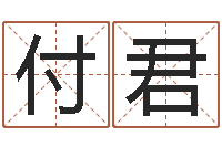 李付君四柱算命软件下载-张姓鼠宝宝取名