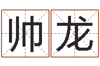 赵帅龙狗名字-所有公司名字