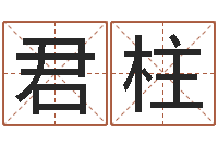 吴君柱属牛今年财运如何-公司起名方法