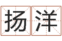 陈扬洋堪舆学-四柱算命术