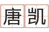 唐凯受生钱姓名繁体字-周易好免费网络