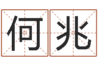 何兆87年兔年运程-四柱预测排版