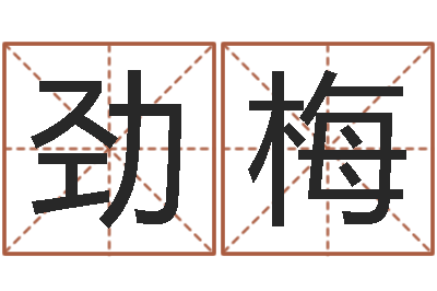 邹劲梅帮虎宝宝取名-投币机算命
