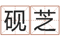 林砚芝免费数字算命-爱情姓名小测试