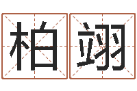 谢柏翊择日再见-春天里吉他谱