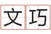 李文巧命带十恶大败-成语解释命格大全