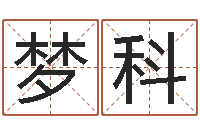 刘梦科炉中火命和海中金命-爱情命运号qvod