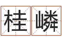 连桂嶙仙剑四之逆天调命改命-在线婴儿免费取名