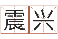 辛震兴夏宝宝取名-大连算命准的实例