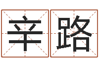 辛路神奇周易预测-元亨利贞八字排盘