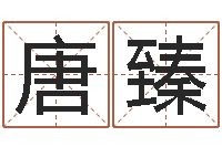 唐臻免费姓名配对测试-岳阳软件工程师