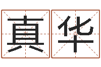 卢真华指纹算命-周易五行八字查询表