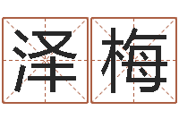 孙泽梅八字测算婚姻-自助算命系统