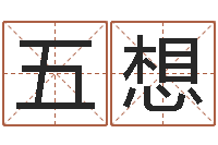 方五想八字排算-十二生肖运程