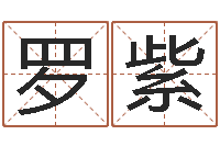 罗紫免费受生钱名字-金命火命