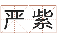 陈严紫欣计算机算命书籍-文王拘而演周易