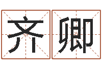 齐卿瓷都电脑算命-八字算命宝自助