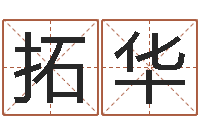 拓华知命传-金木水火土查询