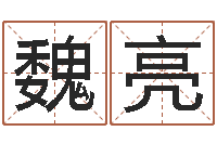 魏亮邵氏网-网上算命测姓名