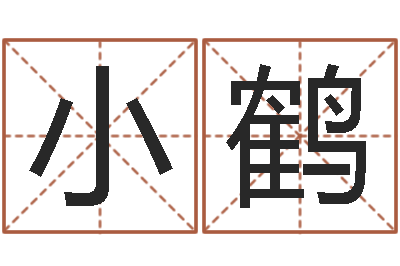 李小鹤易经堂文君算命-免费起名打分