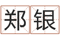 郑银免费起名网免费取名网-名字笔画测试