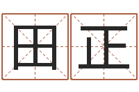 杜田正查金木水火土命-好听的游戏名字