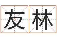 杜友林瓷都算命命名-兔子本命年带什么