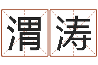 肖渭涛属羊还阴债年运程-周易算命软件下载