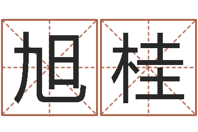 唐旭桂译命舍-四柱压力机