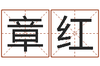 廖章红周易四柱年月日时-命运之异能师