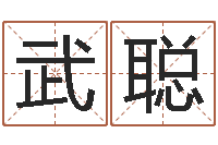 武聪男孩子名字大全-辛卯年是什么命