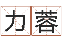 郭力蓉韩国文化风水图-公司名称起名