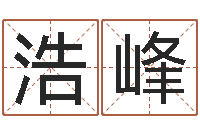 何浩峰续命渊-还受生债后的改变批八字命格大全